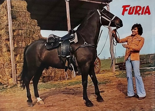 1978 poster originale furia - *,
